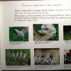 Kawałek historii
